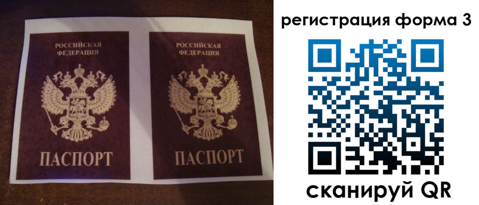 прописка 2025 в Кольчугино
